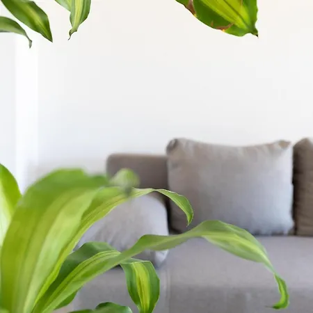 Sanja-marino Apartment