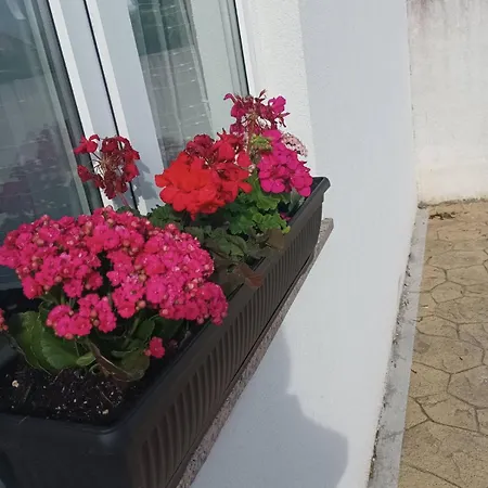Sanja-marino Apartmán *